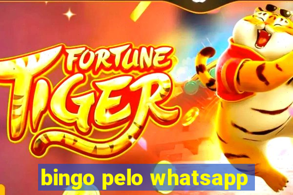 bingo pelo whatsapp