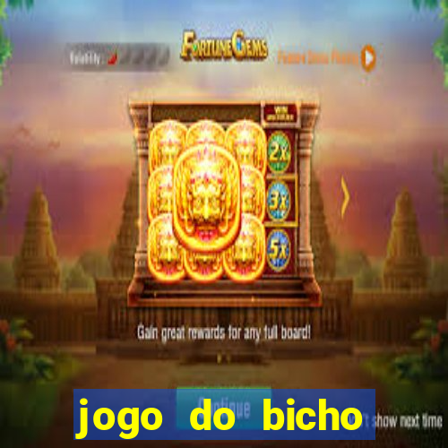 jogo do bicho crash bingo