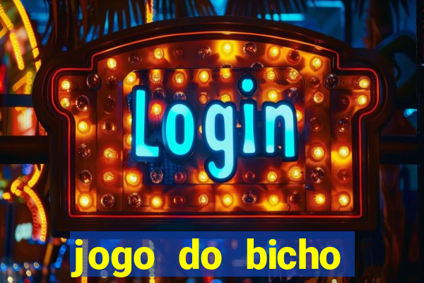 jogo do bicho crash bingo