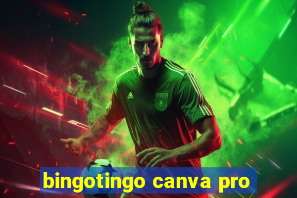 bingotingo canva pro