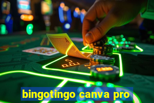 bingotingo canva pro