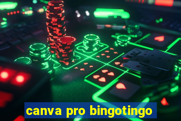 canva pro bingotingo