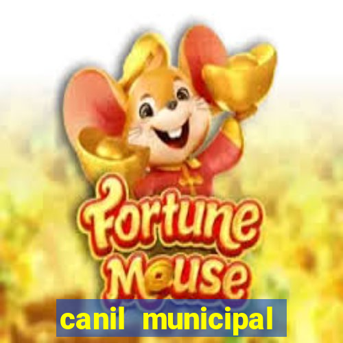 canil municipal porto alegre