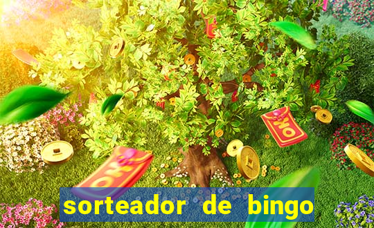 sorteador de bingo 90 bolas online