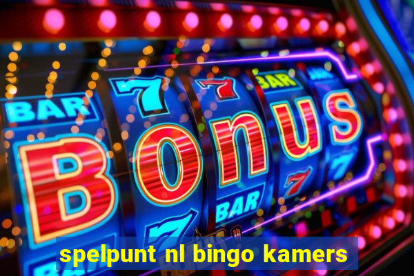 spelpunt nl bingo kamers